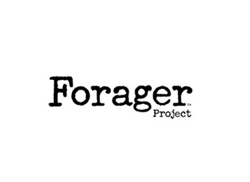 lNTO_0010_Logo16_Forageer