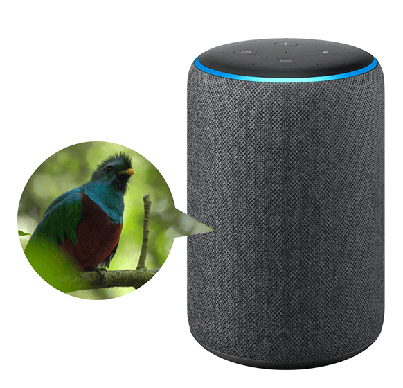 speaker-bird